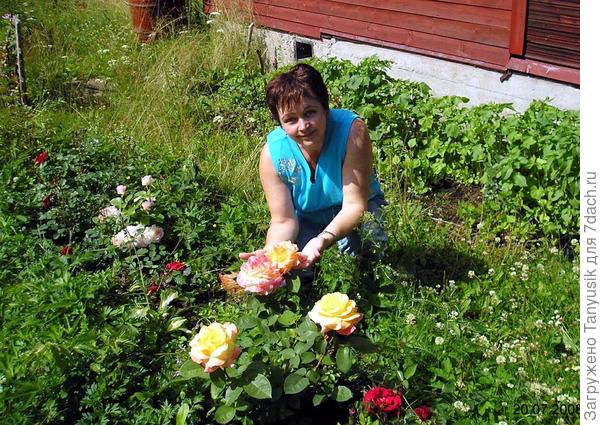 Но, не смотря на "болото", мне удавлось выращивать цветочки...
