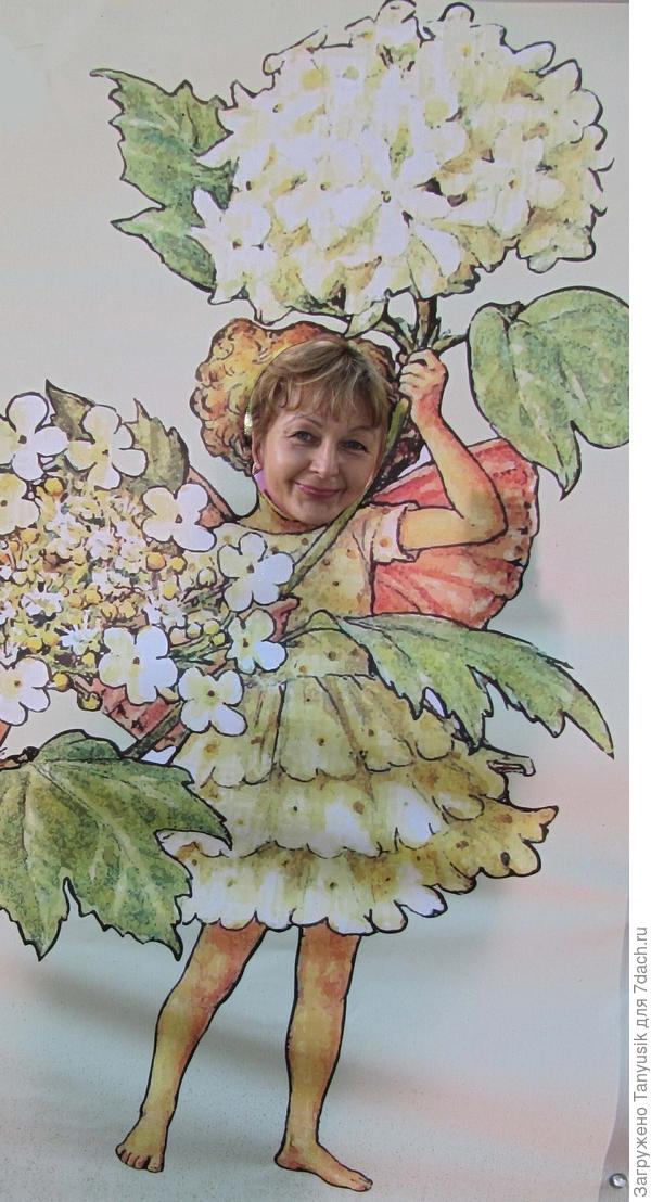 Фея цветов с 54 км