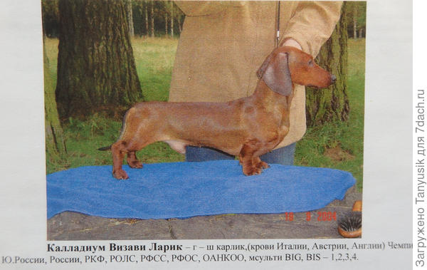 Галкин жених.