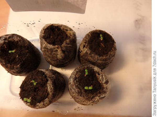 14.02 После стратификации.