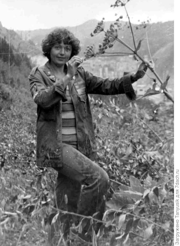 Это на Саянах 1981 г. Тоже борщевик?