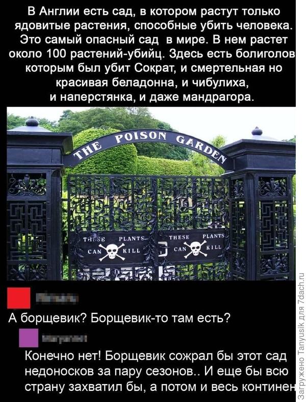 Опасные растения.