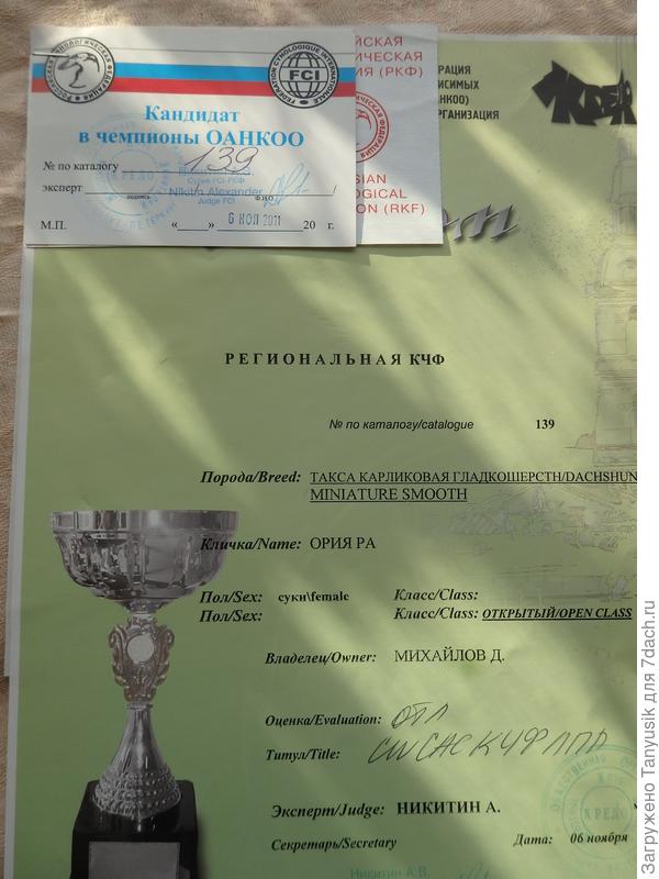 Ори тоже участвовала в выставке.