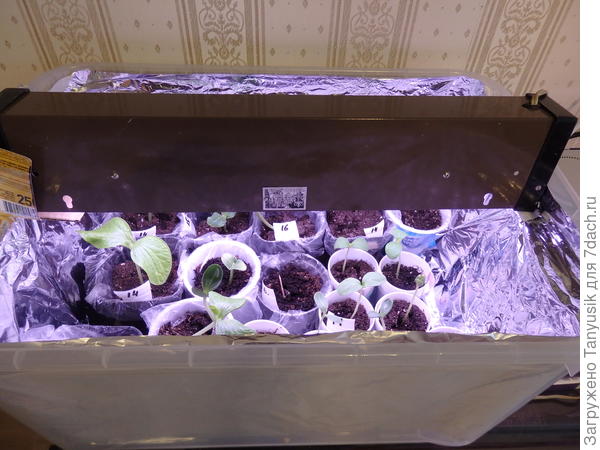 Конструкция