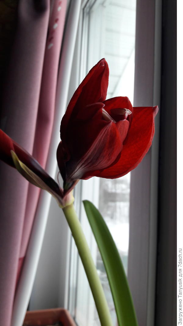 23.02.2020