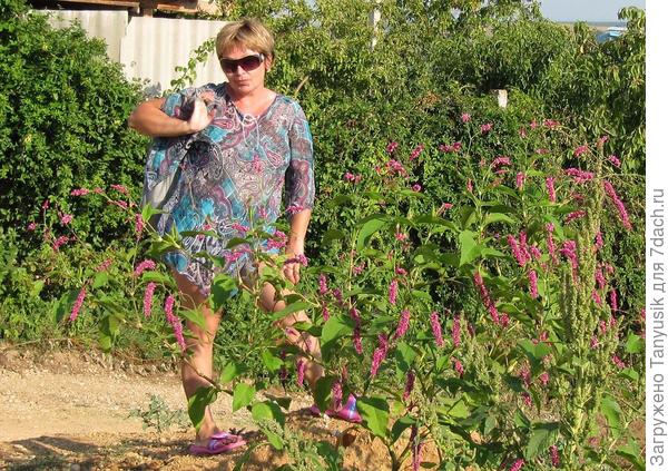 Сфоткано в Севастополе