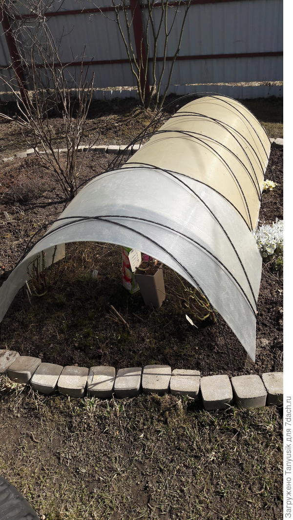 Дуги - арматура стеклопластиковая. Поликарбонат сейчас защищает от солнца.