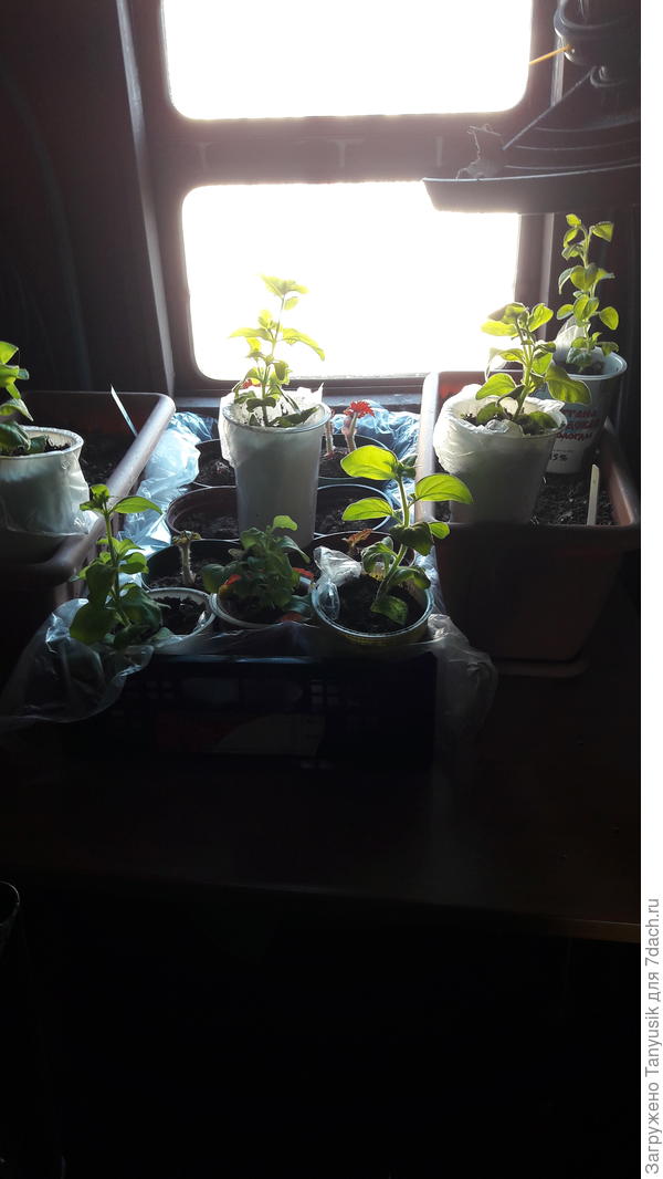 Вот такое маленькое окошко.