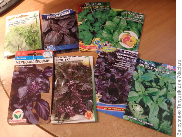 Вот эти посеяны.