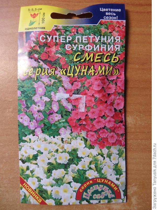 Вот такая должна быть сурфиния.