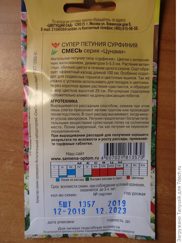 Побеги сурфинии должны быть до 100 см