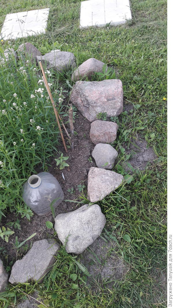 Вообще камней у нас очень много на участке...
