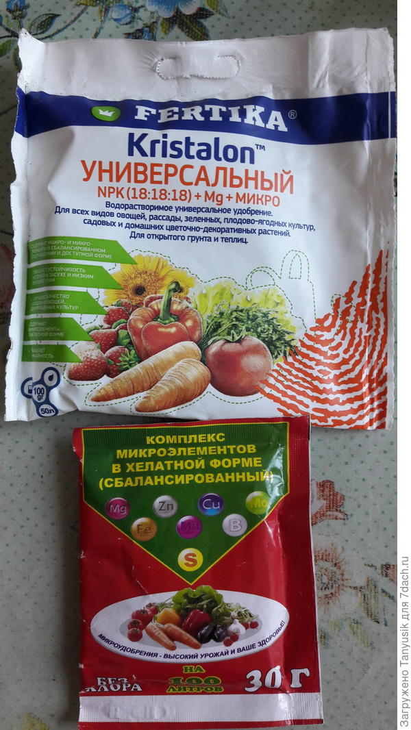 Я сейчас такими подкормлю. Как раз дождь прошел.