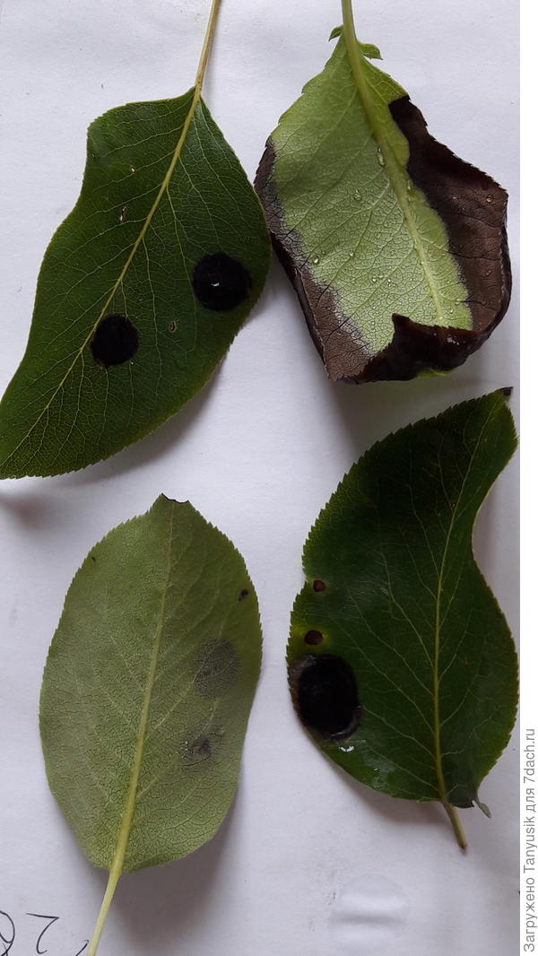 Вот сейчас оборвала.