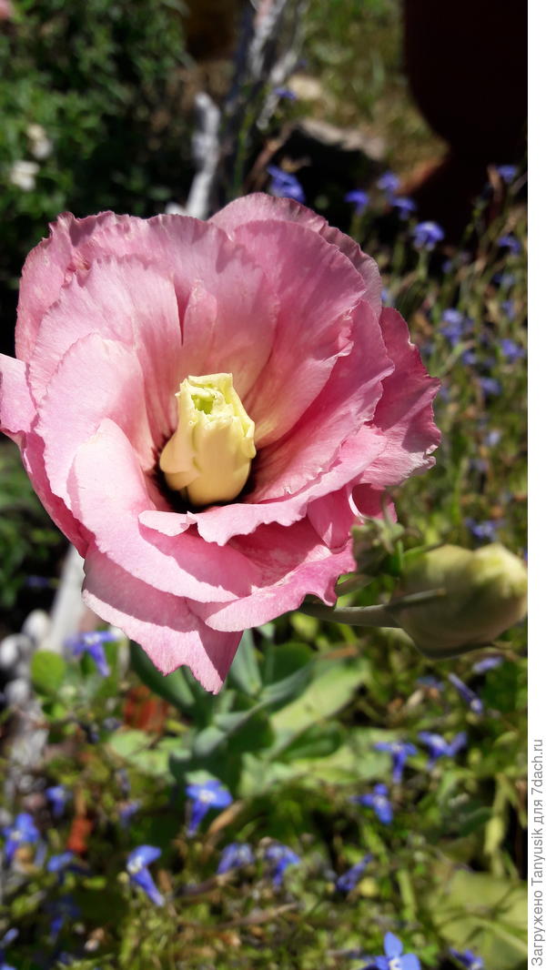 Сегодня такой.