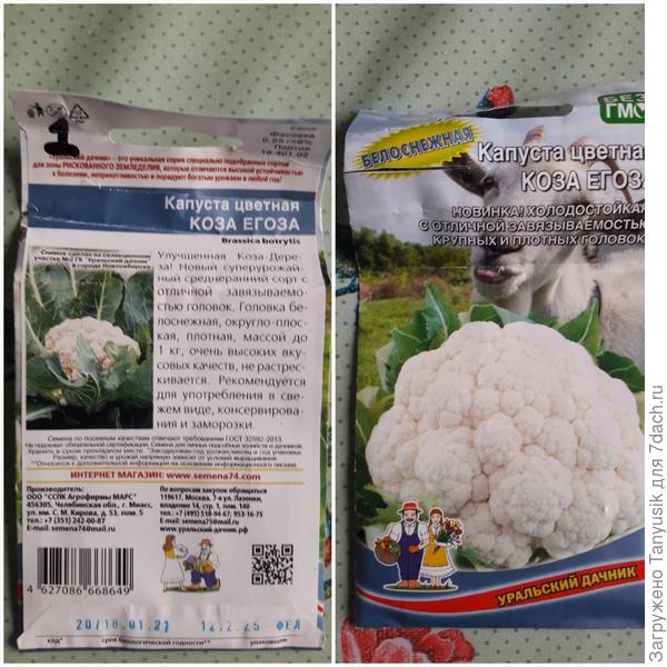 Цветная - на тестировании от &quot;Уральского дачника&quot;.