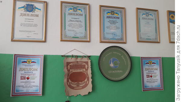 Дипломы