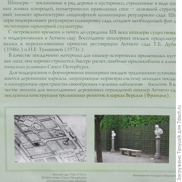Из-за шпалер исчезло чувство простора. У кого клаустрофобия, лучше не ходите туда!