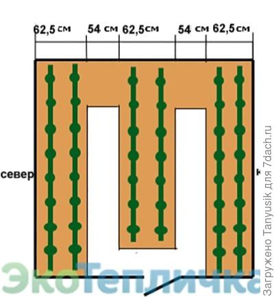 Вот такие грядки у нас получились. Наверно, индеты надо посадить с северной стороны, посередине - полудеты, а с южной стороны - перцы и баклажаны? Пока такие задумки.