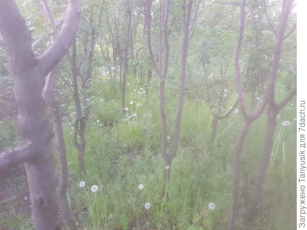 Фото клипмейкера и компьютерщика, который &quot;забил болт&quot; на качество фотографий, потому что они не на конкурс выставляются.&quot;