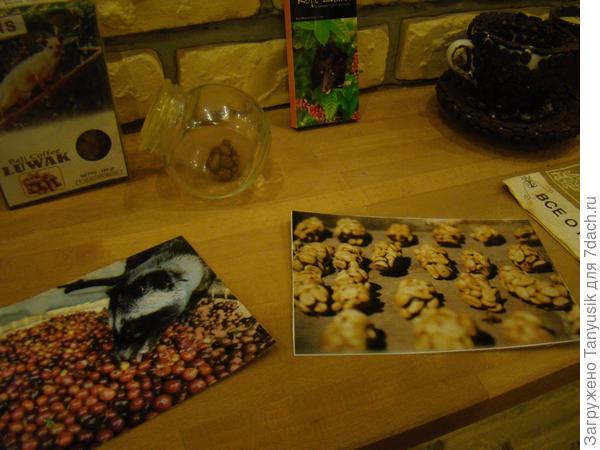 Так выглядит то, что зверьки экскретируют..-)) В баночке и на фото (похожи на грецкие орехи)