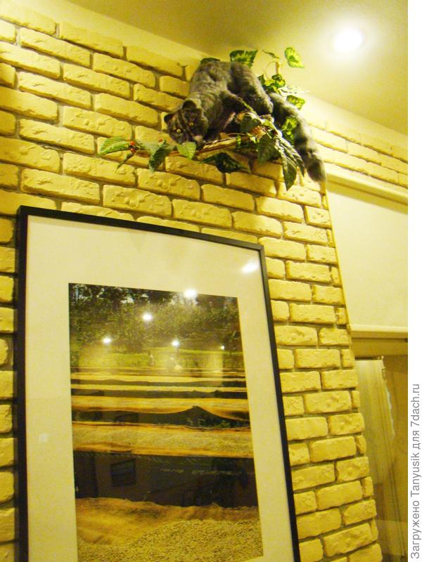 Чучело лювака в музее кофе в Питере. Будете в Питере, обязательно посетите этот интересный музей!