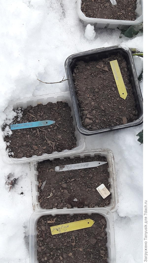 Теперь до мая ждать...