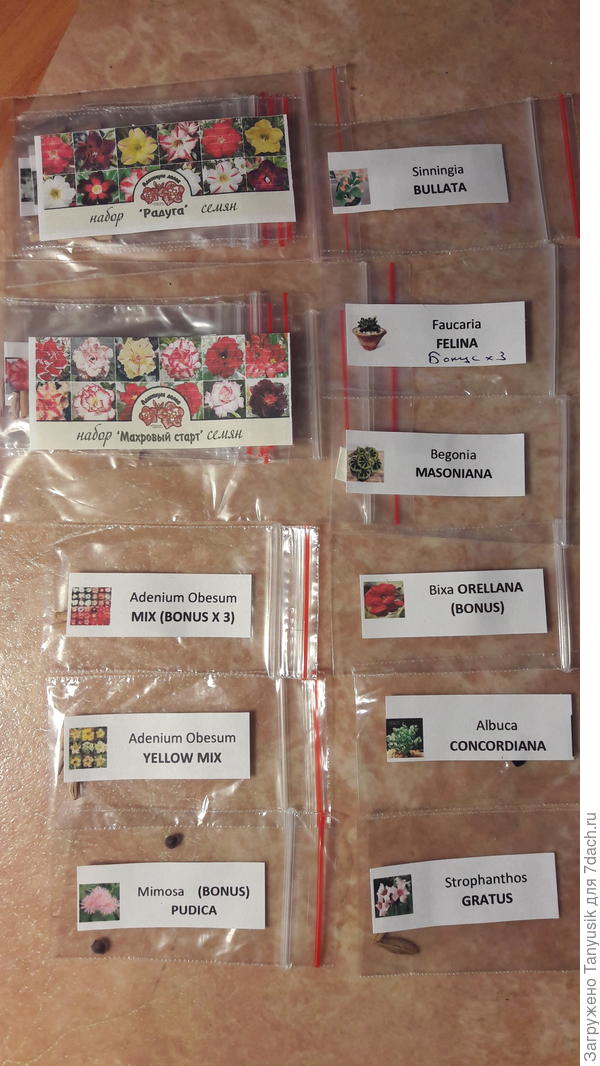 17 видов адениумов (35 семян) &amp; Со.