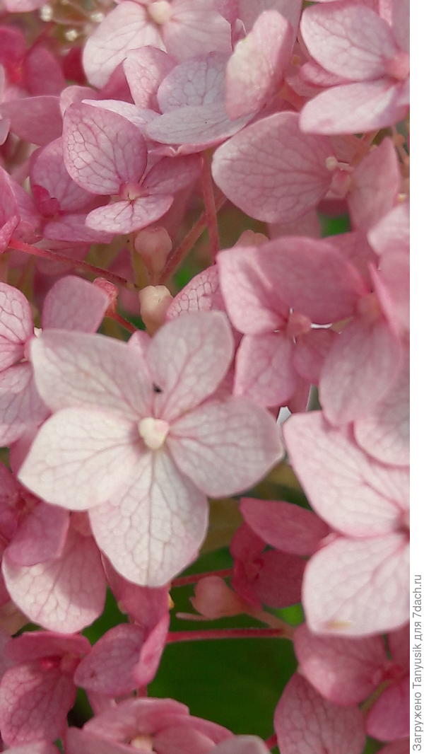 Я уже нашла свое счастье!!!