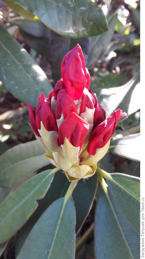 Приступаем к релаксации