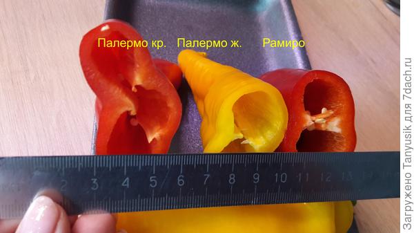 Толщина стенок у всех одинаковая 4-5 мм