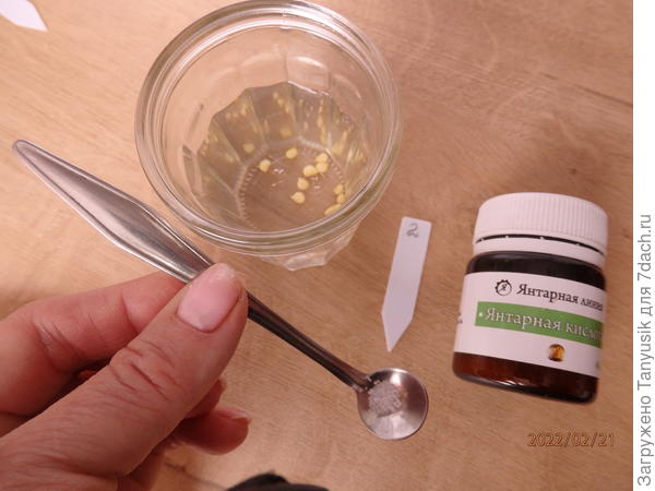 Чтобы отмерить 0,02 г янтарной кислоты, надо взять ложечку для специй (самую маленькую) и подцепить несколько крупинок. Вес, конечно, будет примерный, но это не страшно