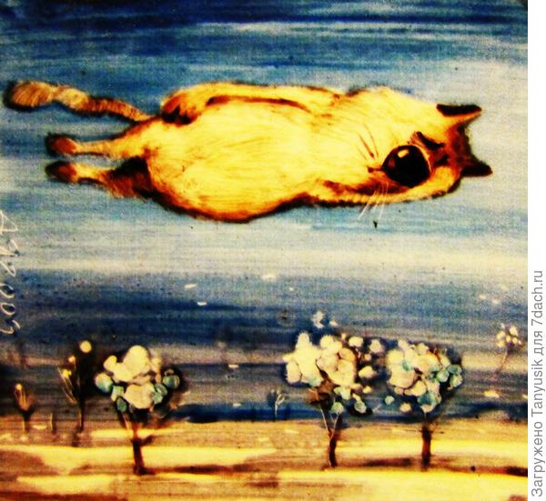 Весна наступила. Коты прилетели!