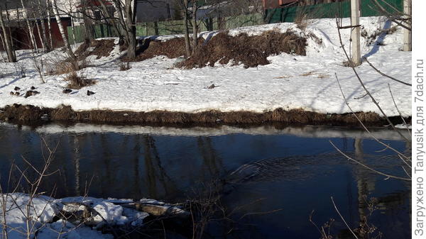 Речка Дудергофка. Иду вдоль нее по пути на работу...