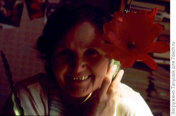 1976 г. Моя мама с таким кактусом