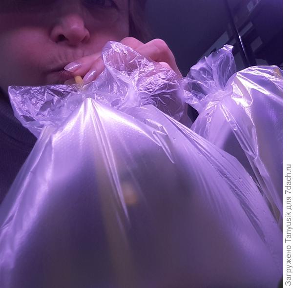 Делюсь с рассадой углекислым газом. Делать это лучше утром