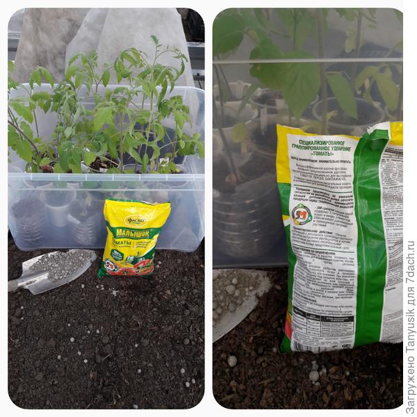 На грядки в теплице внесла специальное удобрение для томатов Малышок. Написано, что оно пролонгированного действия. А каждая 5-М гранула содержит 5 питательных микро- и макро элементов