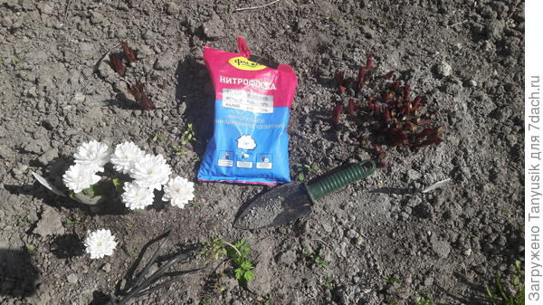 Сейчас, например, это нитрофоска от Фаско