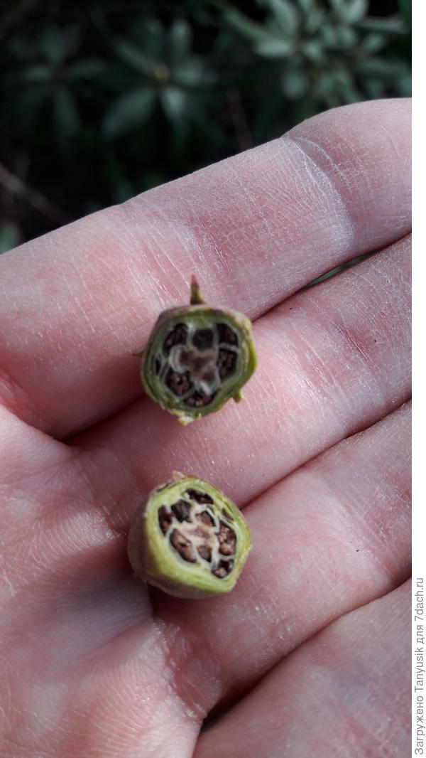 Внутри она такая