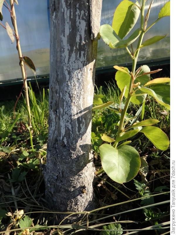 Вот так было в 2015 году