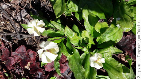 Кажется, дождь собирается...