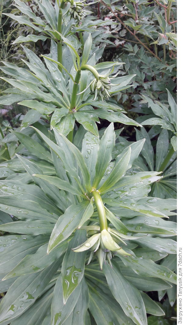 Сейчас они такие