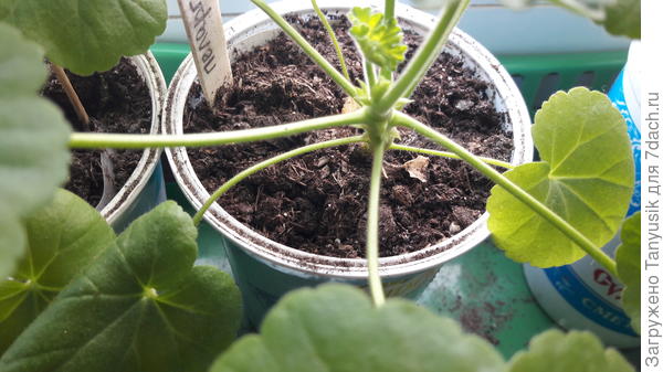 Теперь высолов нет.