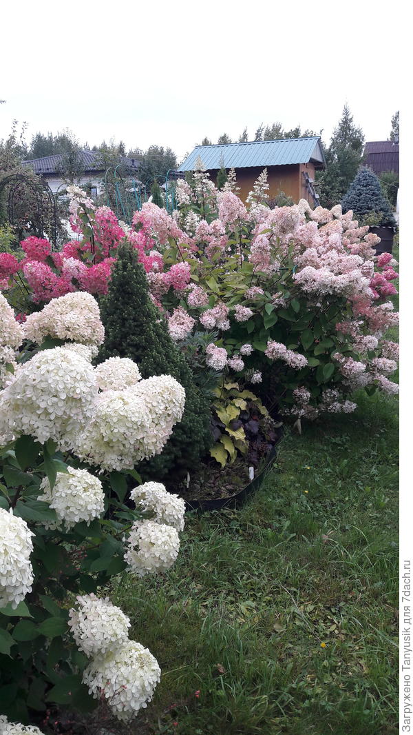 Это лишь небольшая часть.