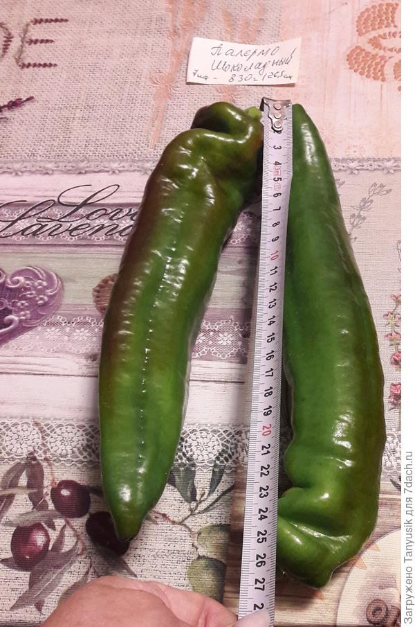 Шоколадный