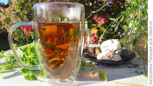 Чай с Цитрусоым фрешем - вкуснятина!