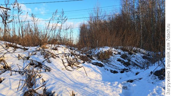 25.12.2022 С утра небо было чистое. К обеду стали появляться облачка. Снег почти весь растаял.