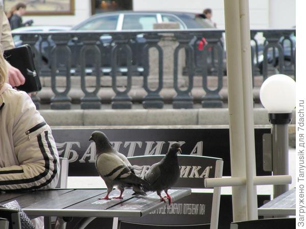 Топчемся, топчемся тут, а пиво так никто и не налил...