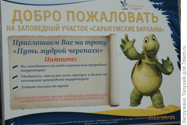 Мы были "мудрыми черепахами"