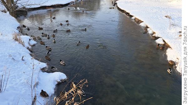 Речка Дудергофка